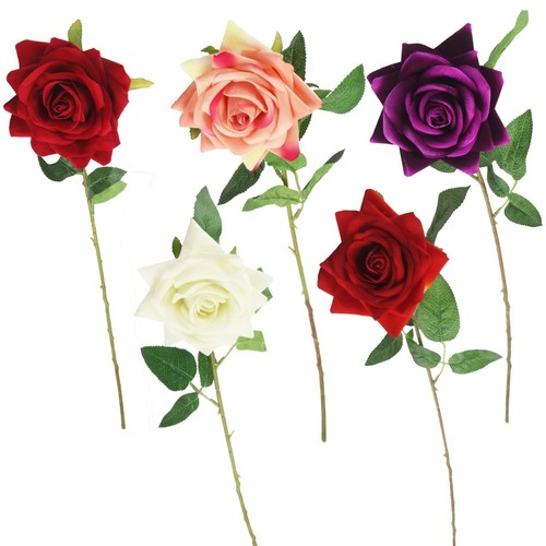 Premium open velvet - rose,