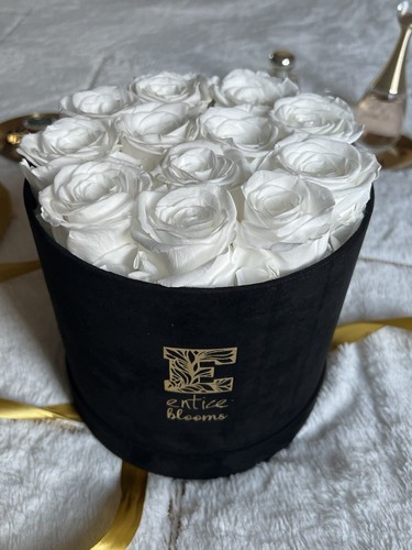 White infinity roses in - white,