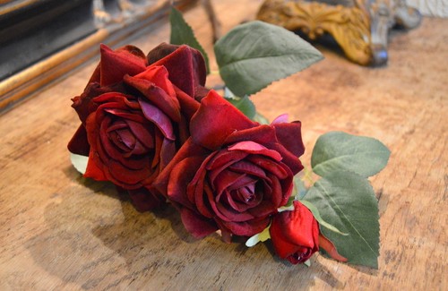 Spray rich red - rich,