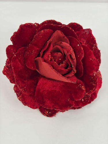 Flower rose red - flower,